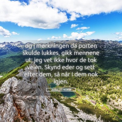 Picture 05 - Josvas 2:5 NORSK - og i mørkningen da porten skulde lukkes, gikk - Bible Verse Picture
