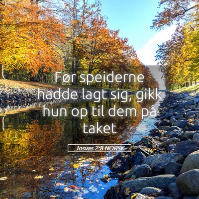 Picture 05 - Josvas 2:8 NORSK - Før speiderne hadde lagt sig, gikk hun op til - Bible Verse Picture