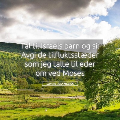 Picture 05 - Josvas 20:2 NORSK - Tal til Israels barn og si: Avgi de - Bible Verse Picture