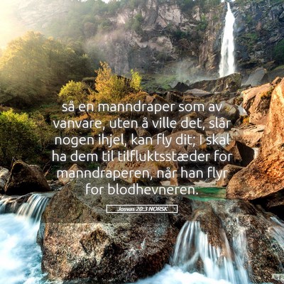 Picture 05 - Josvas 20:3 NORSK - så en manndraper som av vanvare, uten å ville - Bible Verse Picture