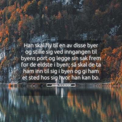 Picture 05 - Josvas 20:4 NORSK - Han skal fly til en av disse byer og stille sig - Bible Verse Picture