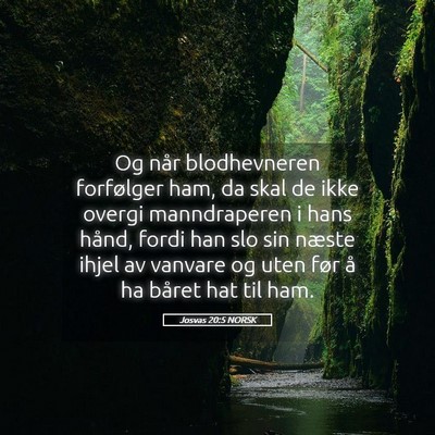Picture 05 - Josvas 20:5 NORSK - Og når blodhevneren forfølger ham, da skal de - Bible Verse Picture