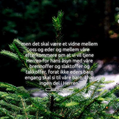Picture 05 - Josvas 22:27 NORSK - men det skal være et vidne mellem oss og eder og - Bible Verse Picture