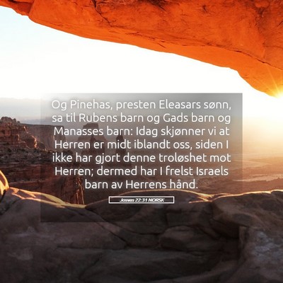 Picture 05 - Josvas 22:31 NORSK - Og Pinehas, presten Eleasars sønn, sa til Rubens - Bible Verse Picture