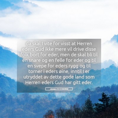 Picture 05 - Josvas 23:13 NORSK - da skal I vite for visst at Herren eders Gud ikke - Bible Verse Picture
