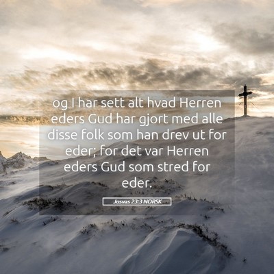 Picture 05 - Josvas 23:3 NORSK - og I har sett alt hvad Herren eders Gud har gjort - Bible Verse Picture
