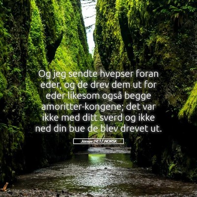 Picture 05 - Josvas 24:12 NORSK - Og jeg sendte hvepser foran eder, og de drev dem - Bible Verse Picture