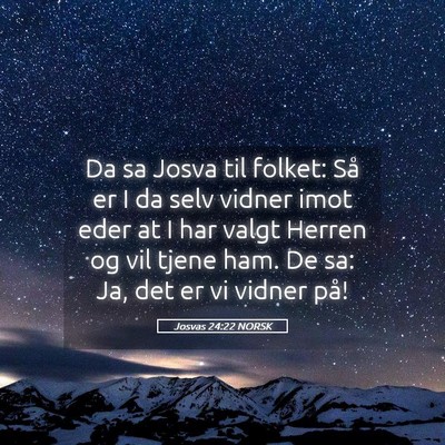 Picture 05 - Josvas 24:22 NORSK - Da sa Josva til folket: Så er I da selv vidner - Bible Verse Picture