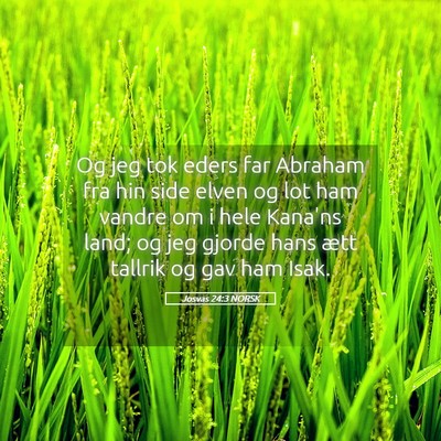 Picture 05 - Josvas 24:3 NORSK - Og jeg tok eders far Abraham fra hin side elven - Bible Verse Picture