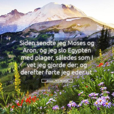Picture 05 - Josvas 24:5 NORSK - Siden sendte jeg Moses og Aron, og jeg slo - Bible Verse Picture