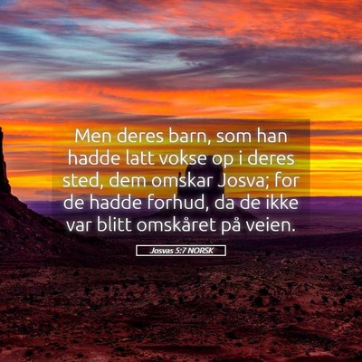 Picture 05 - Josvas 5:7 NORSK - Men deres barn, som han hadde latt vokse op i - Bible Verse Picture