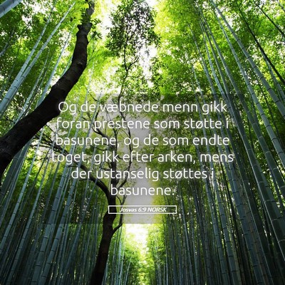 Picture 05 - Josvas 6:9 NORSK - Og de væbnede menn gikk foran prestene som - Bible Verse Picture