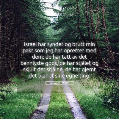 Picture 05 - Josvas 7:11 NORSK - Israel har syndet og brutt min pakt som jeg har - Bible Verse Picture