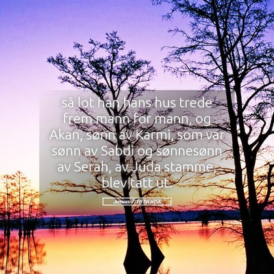 Picture 05 - Josvas 7:18 NORSK - så lot han hans hus trede frem mann for mann, og - Bible Verse Picture