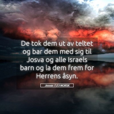 Picture 05 - Josvas 7:23 NORSK - De tok dem ut av teltet og bar dem med sig til - Bible Verse Picture