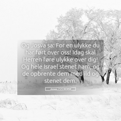 Picture 05 - Josvas 7:25 NORSK - Og Josva sa: For en ulykke du har ført over oss! - Bible Verse Picture