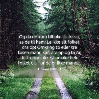 Picture 05 - Josvas 7:3 NORSK - Og da de kom tilbake til Josva, sa de til ham: La - Bible Verse Picture