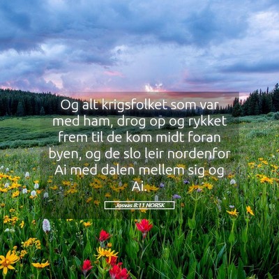 Picture 05 - Josvas 8:11 NORSK - Og alt krigsfolket som var med ham, drog op og - Bible Verse Picture
