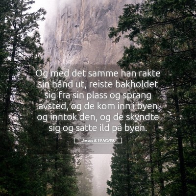 Picture 05 - Josvas 8:19 NORSK - Og med det samme han rakte sin hånd ut, reiste - Bible Verse Picture