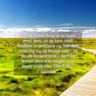 Picture 05 - Josvas 8:22 NORSK - Og de andre drog ut av byen imot dem, så de kom - Bible Verse Picture