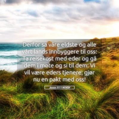 Picture 05 - Josvas 9:11 NORSK - Derfor sa våre eldste og alle vårt lands - Bible Verse Picture
