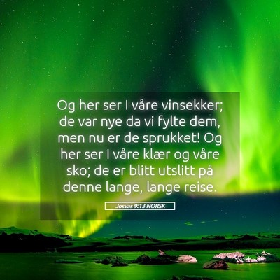 Picture 05 - Josvas 9:13 NORSK - Og her ser I våre vinsekker; de var nye da vi - Bible Verse Picture