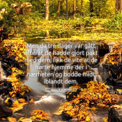 Picture 05 - Josvas 9:16 NORSK - Men da tre dager var gått efterat de hadde gjort - Bible Verse Picture
