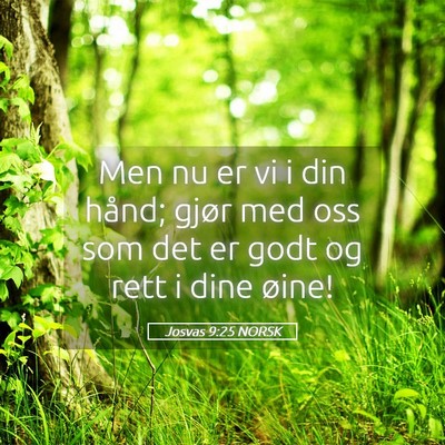 Picture 05 - Josvas 9:25 NORSK - Men nu er vi i din hånd; gjør med oss som det - Bible Verse Picture
