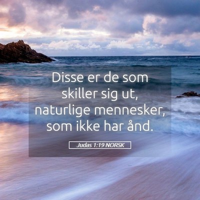 Picture 05 - Judas 1:19 NORSK - Disse er de som skiller sig ut, naturlige - Bible Verse Picture
