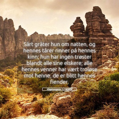 Picture 05 - Klagesangene 1:2 NORSK - Sårt gråter hun om natten, og hennes tårer - Bible Verse Picture