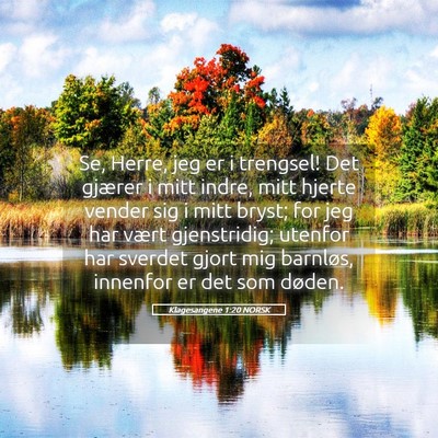 Picture 05 - Klagesangene 1:20 NORSK - Se, Herre, jeg er i trengsel! Det gjærer i mitt - Bible Verse Picture