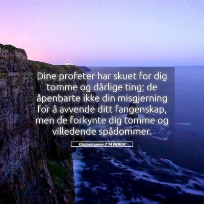 Picture 05 - Klagesangene 2:14 NORSK - Dine profeter har skuet for dig tomme og dårlige - Bible Verse Picture