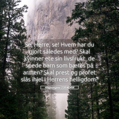 Picture 05 - Klagesangene 2:20 NORSK - Se, Herre, se! Hvem har du gjort således med? - Bible Verse Picture