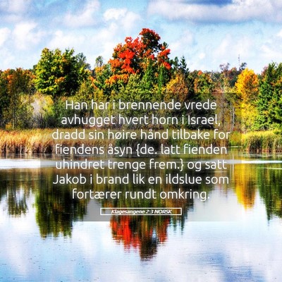 Picture 05 - Klagesangene 2:3 NORSK - Han har i brennende vrede avhugget hvert horn i - Bible Verse Picture