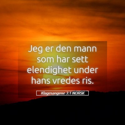 Picture 05 - Klagesangene 3:1 NORSK - Jeg er den mann som har sett elendighet under - Bible Verse Picture