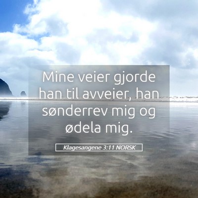 Picture 05 - Klagesangene 3:11 NORSK - Mine veier gjorde han til avveier, han sønderrev - Bible Verse Picture