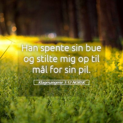 Picture 05 - Klagesangene 3:12 NORSK - Han spente sin bue og stilte mig op til mål for - Bible Verse Picture