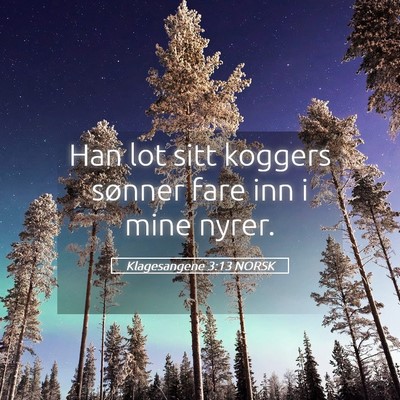 Picture 05 - Klagesangene 3:13 NORSK - Han lot sitt koggers sønner fare inn i mine - Bible Verse Picture
