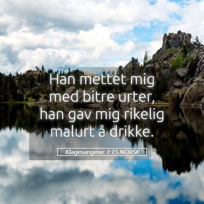 Picture 05 - Klagesangene 3:15 NORSK - Han mettet mig med bitre urter, han gav mig - Bible Verse Picture