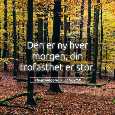 Picture 05 - Klagesangene 3:23 NORSK - Den er ny hver morgen, din trofasthet er - Bible Verse Picture