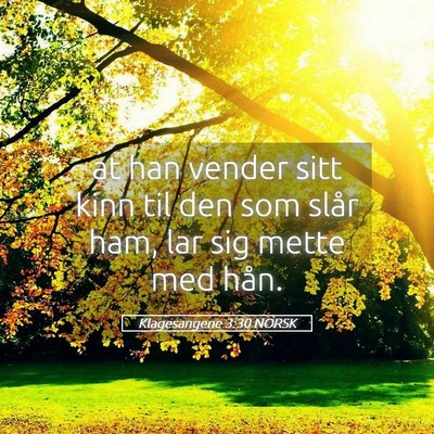Picture 05 - Klagesangene 3:30 NORSK - at han vender sitt kinn til den som slår ham, - Bible Verse Picture