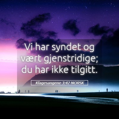 Picture 05 - Klagesangene 3:42 NORSK - Vi har syndet og vært gjenstridige; du har ikke - Bible Verse Picture
