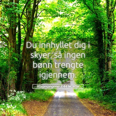 Picture 05 - Klagesangene 3:44 NORSK - Du innhyllet dig i skyer, så ingen bønn trengte - Bible Verse Picture