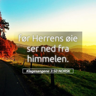 Picture 05 - Klagesangene 3:50 NORSK - før Herrens øie ser ned fra - Bible Verse Picture