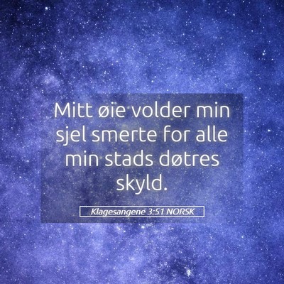 Picture 05 - Klagesangene 3:51 NORSK - Mitt øie volder min sjel smerte for alle min - Bible Verse Picture
