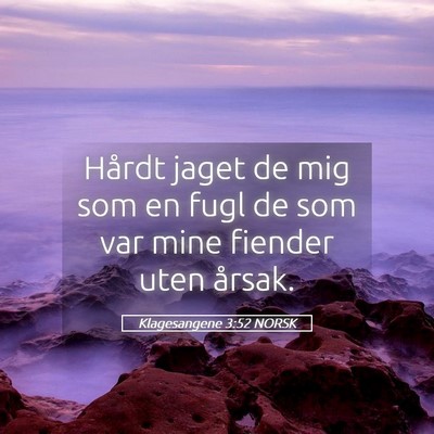 Picture 05 - Klagesangene 3:52 NORSK - Hårdt jaget de mig som en fugl de som var mine - Bible Verse Picture