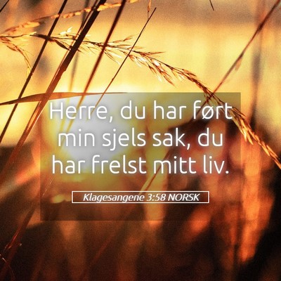 Picture 05 - Klagesangene 3:58 NORSK - Herre, du har ført min sjels sak, du har frelst - Bible Verse Picture