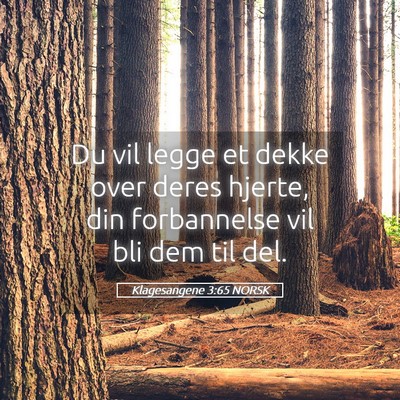 Picture 05 - Klagesangene 3:65 NORSK - Du vil legge et dekke over deres hjerte, din - Bible Verse Picture