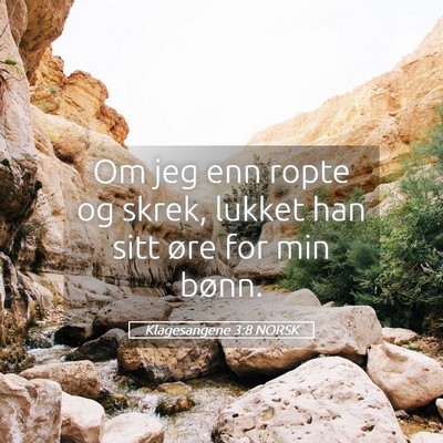 Picture 05 - Klagesangene 3:8 NORSK - Om jeg enn ropte og skrek, lukket han sitt øre - Bible Verse Picture