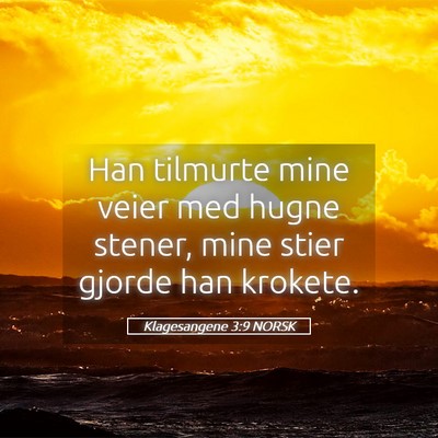 Picture 05 - Klagesangene 3:9 NORSK - Han tilmurte mine veier med hugne stener, mine - Bible Verse Picture